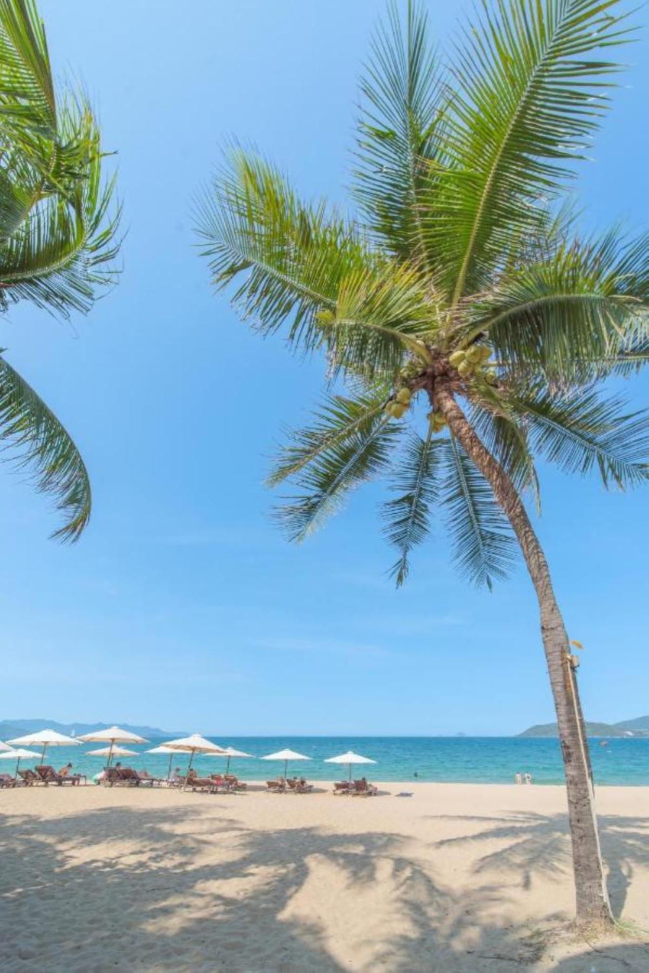 Nami Hotel Nha Trang Eksteriør bilde